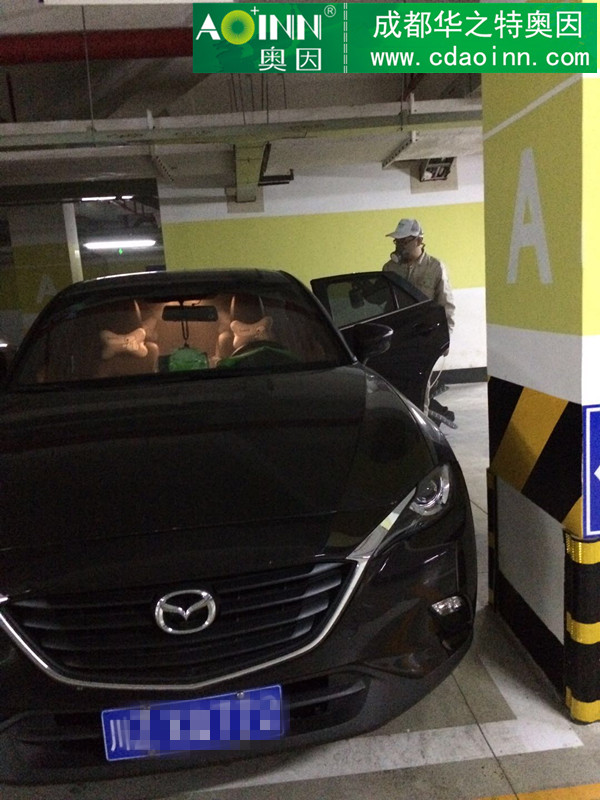 汽車(chē)治理案例